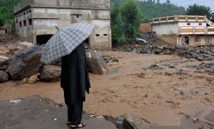 पाकिस्तान में मूसलाधार बारिश का कहर, 657 से अधिक लोगों की मौत